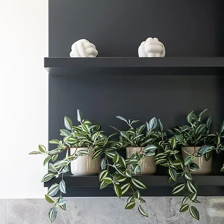 Holiday home Elia Seaside Nea Chora Chania (Crete)